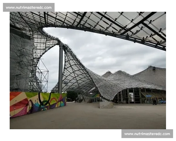 公投过关,慕尼黑再办夏奥还有几步? 公投过关,慕尼黑再办夏奥还有几步?