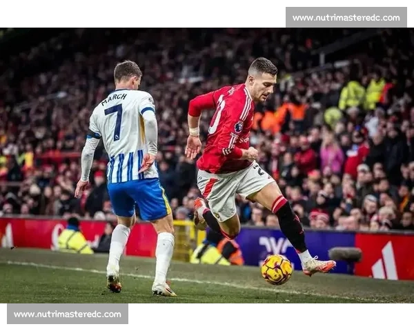 谢什科献曼联首助,红魔 4-2 布莱顿取三连胜 谢什科献曼联首助,红魔 4-2 布莱顿取三连胜